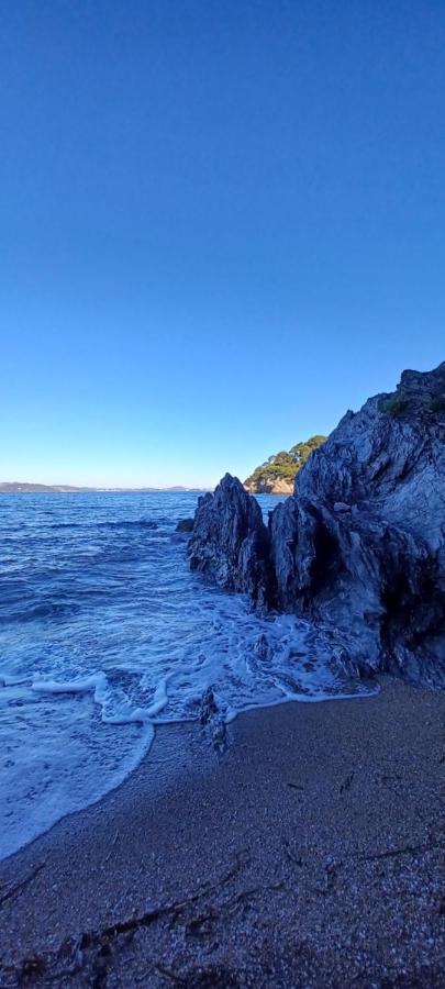 Escapade Daire Toulon Dış mekan fotoğraf
