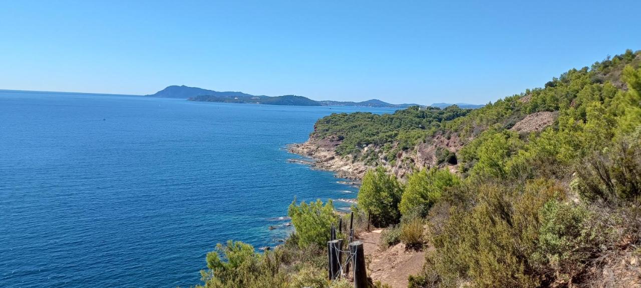 Escapade Daire Toulon Dış mekan fotoğraf