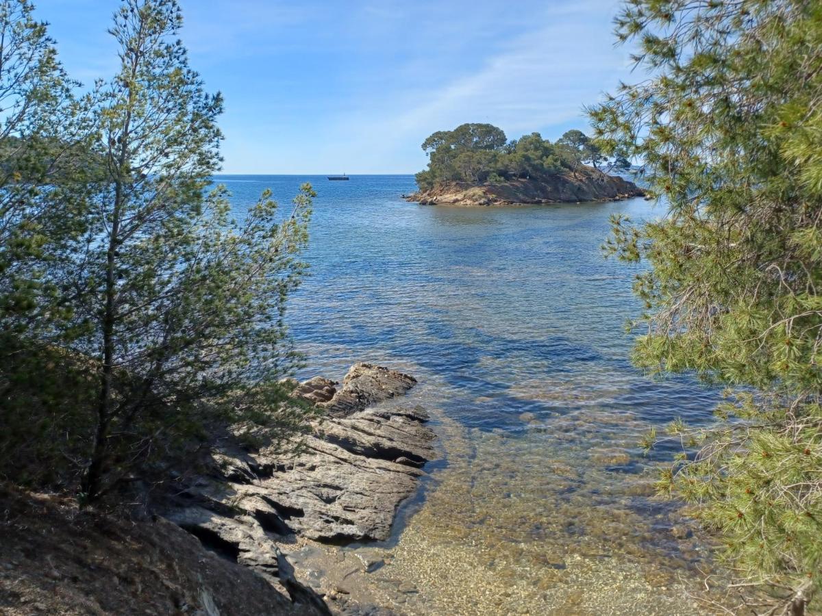 Escapade Daire Toulon Dış mekan fotoğraf