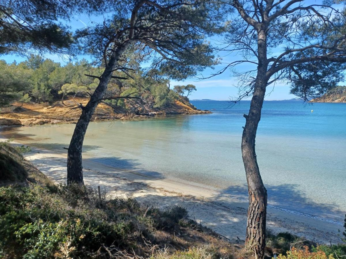 Escapade Daire Toulon Dış mekan fotoğraf