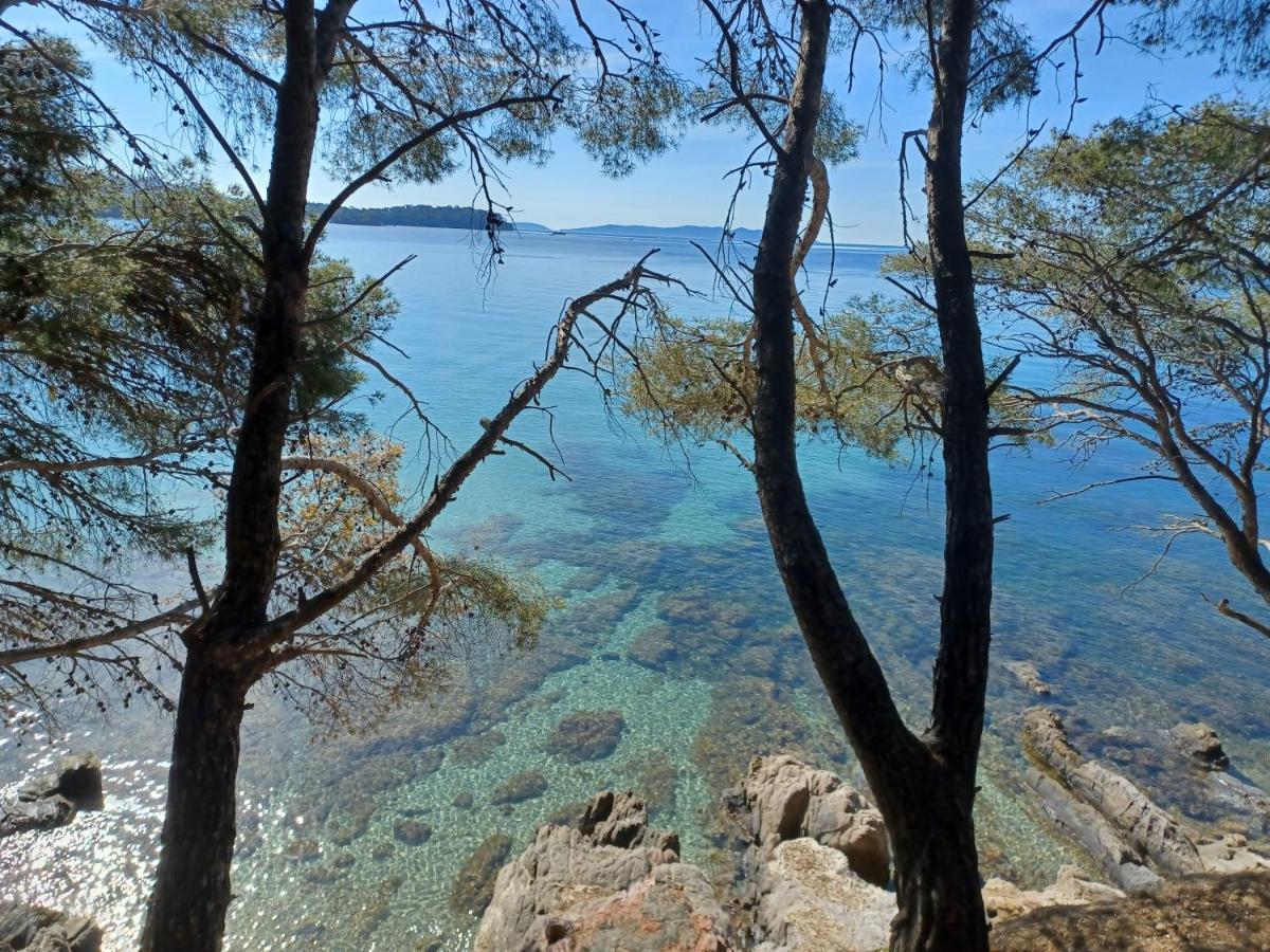 Escapade Daire Toulon Dış mekan fotoğraf