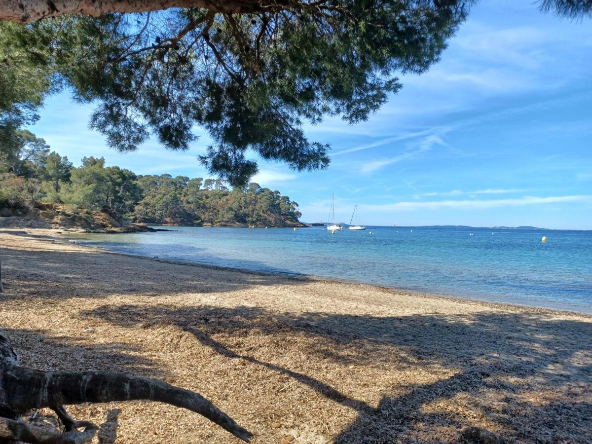 Escapade Daire Toulon Dış mekan fotoğraf