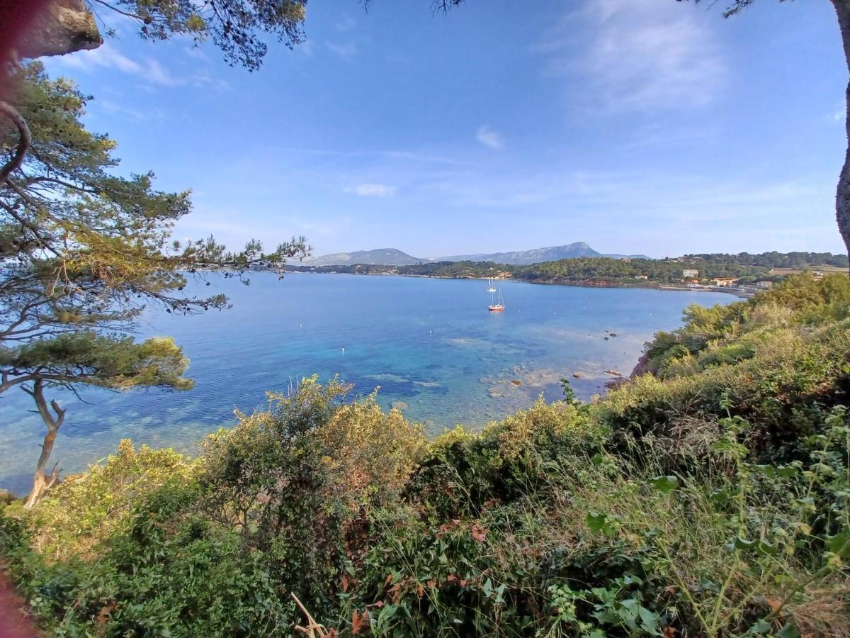Escapade Daire Toulon Dış mekan fotoğraf