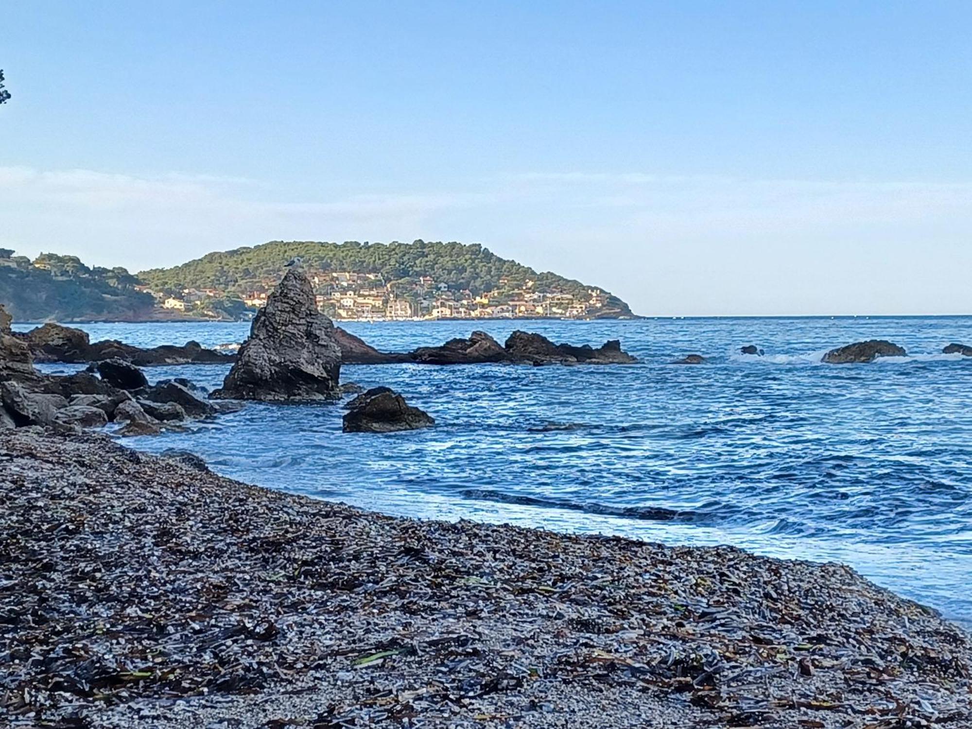 Escapade Daire Toulon Dış mekan fotoğraf